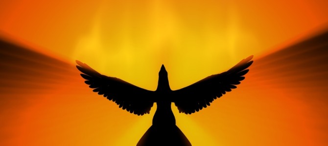 Acceptance, Self-Belief and a Rising Phoenix…