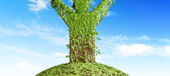 Take Action and ‘Spring’ Into New Beginnings…