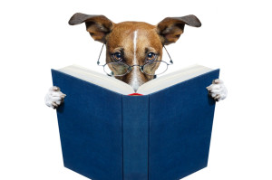 Dog Reading Book