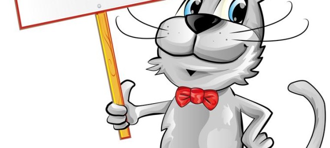 Happy 1st Birthday C.A.T. Blog!