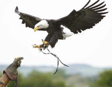Be Bold and Seize the Moment…